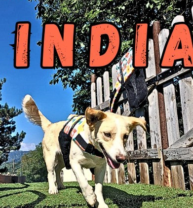 India India