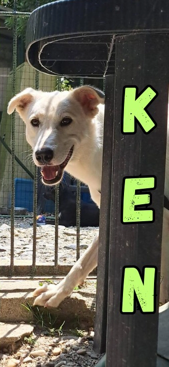  Ken 