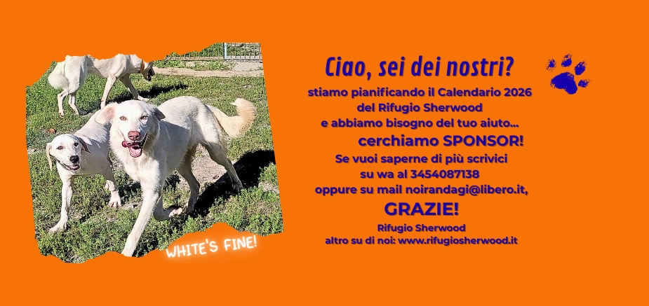 Sponsor calendario 2026