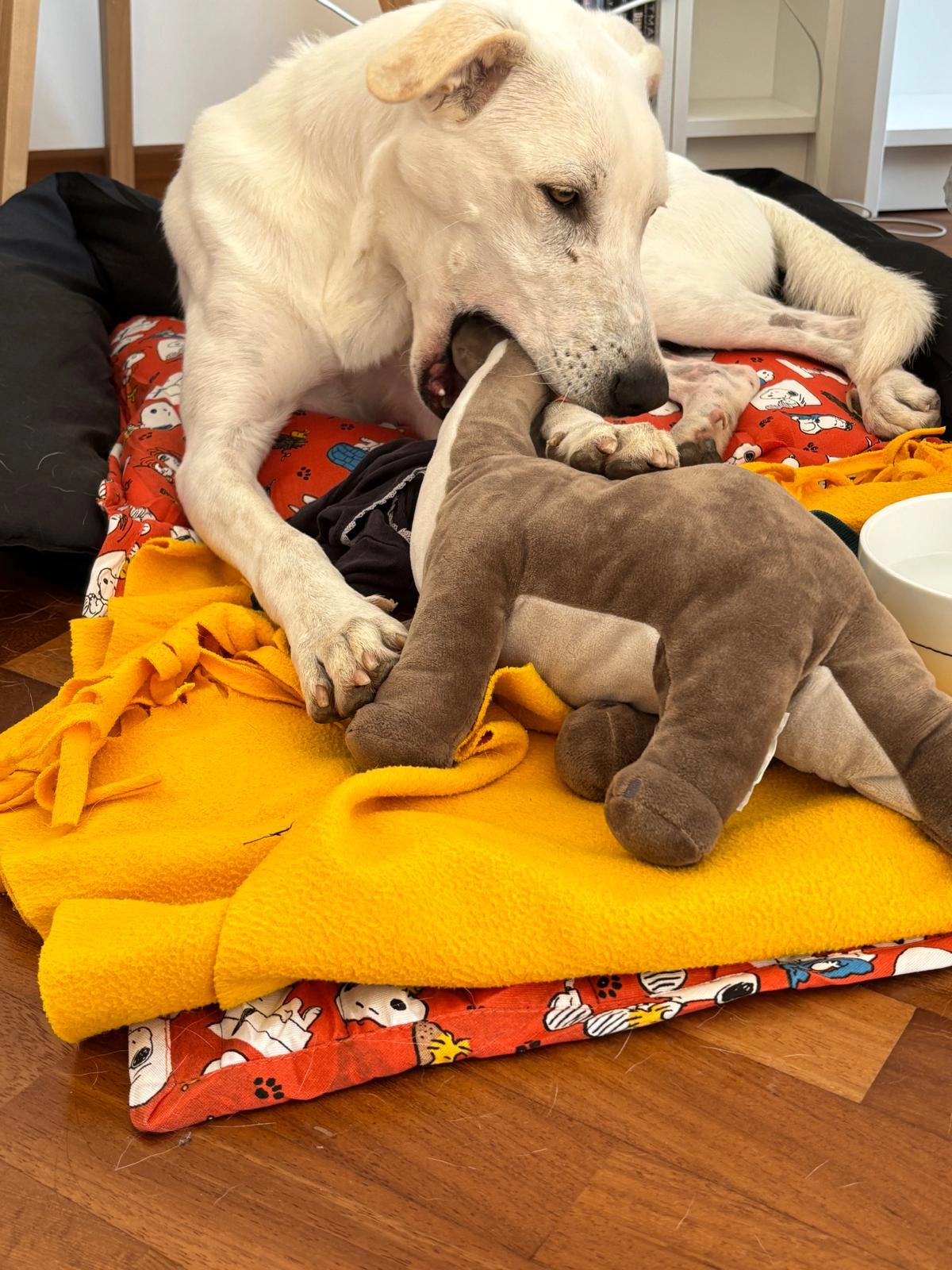 556279172 1220982580073337 737740307872534707 n