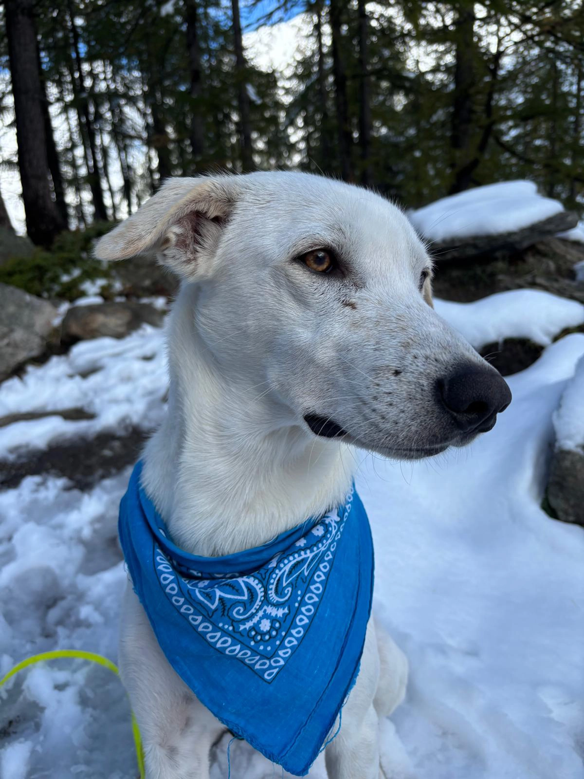 556402302 1220984423406486 583318111716948464 n