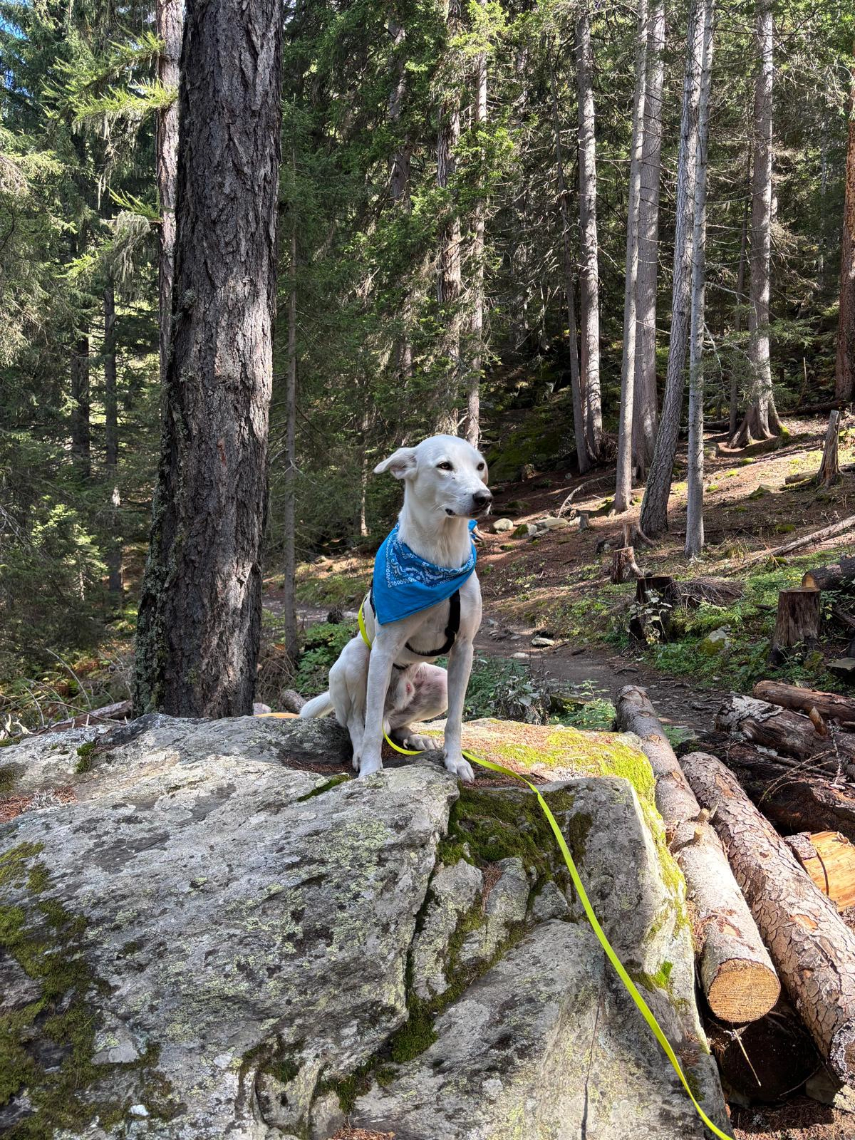 556593891 1220983626739899 6173784782012854854 n