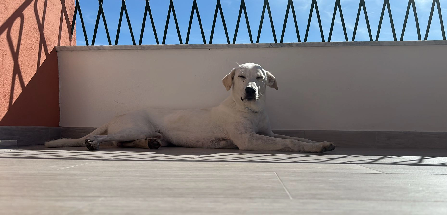 556661437 1220985336739728 2537764603637111776 n