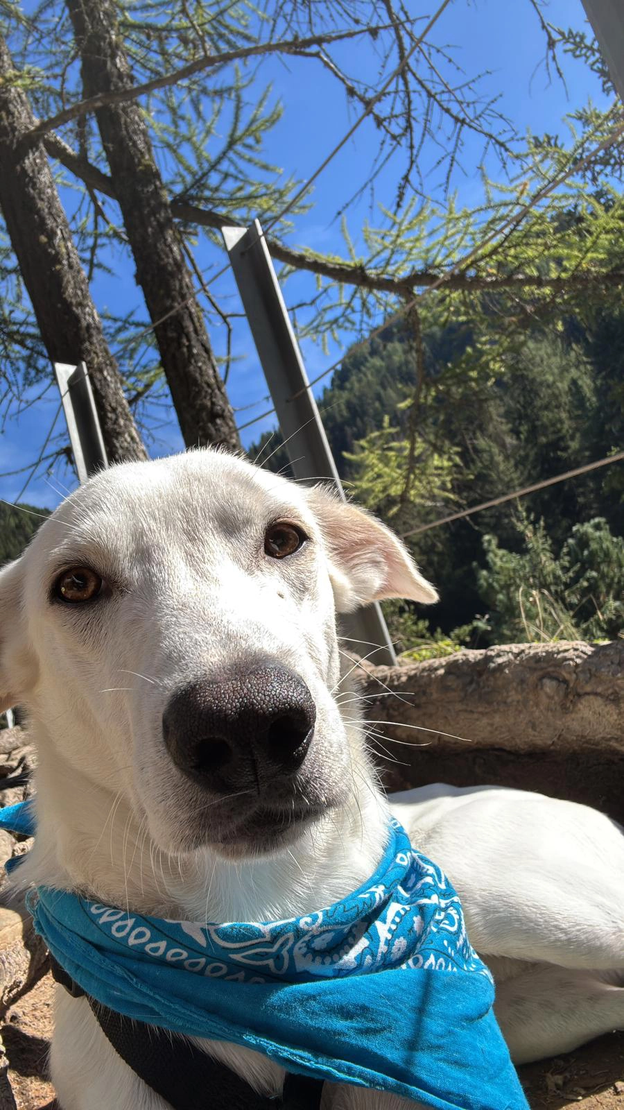 557044564 1220983723406556 7469073676999919504 n