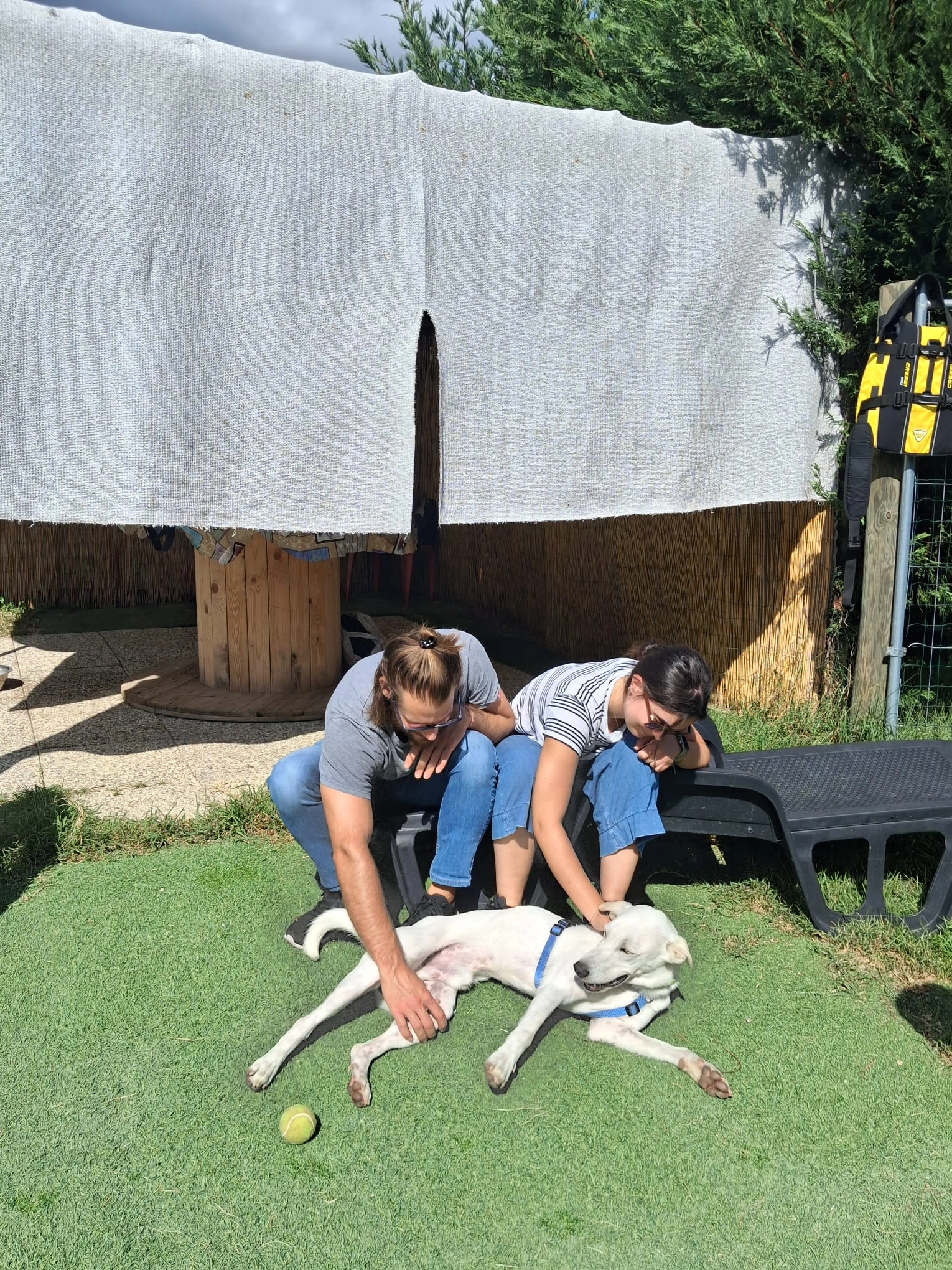 557152655 1220982983406630 1125882033795355333 n