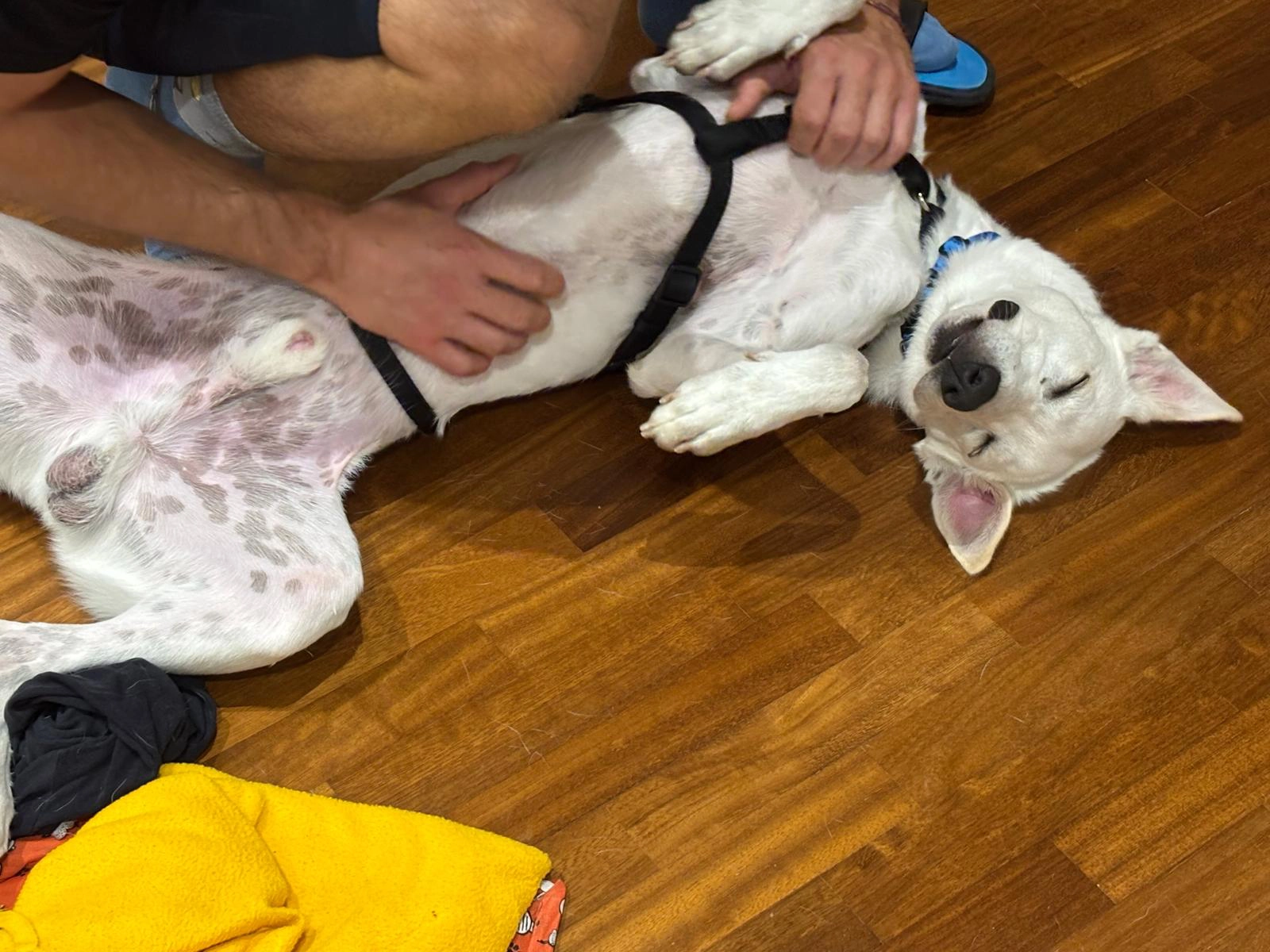 557440404 1220982313406697 2359631865348079327 n