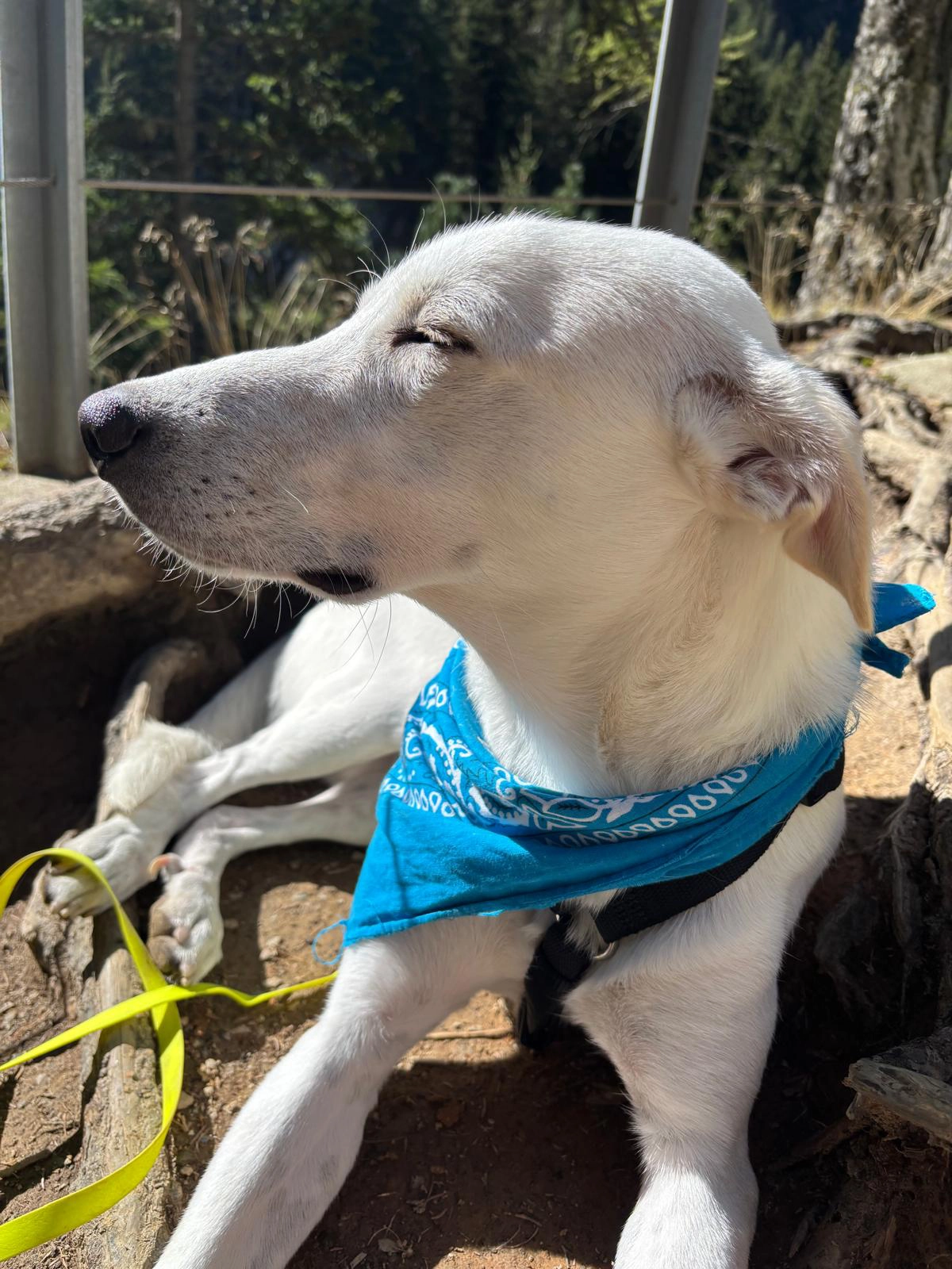 557683142 1220983860073209 513979198761043060 n