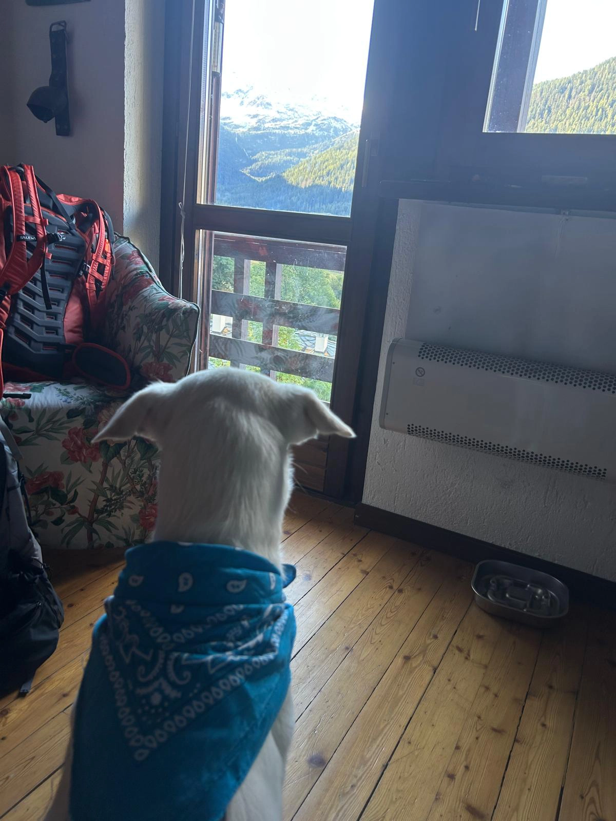 557855585 1220984573406471 8916392054295457567 n