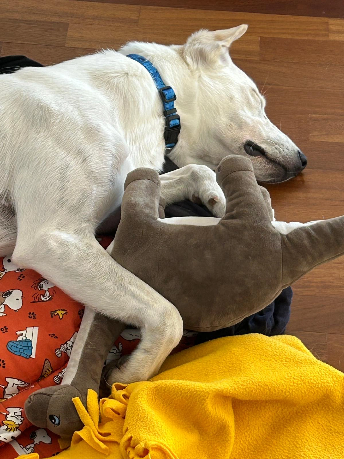 558062850 1220984830073112 1193542748508539741 n