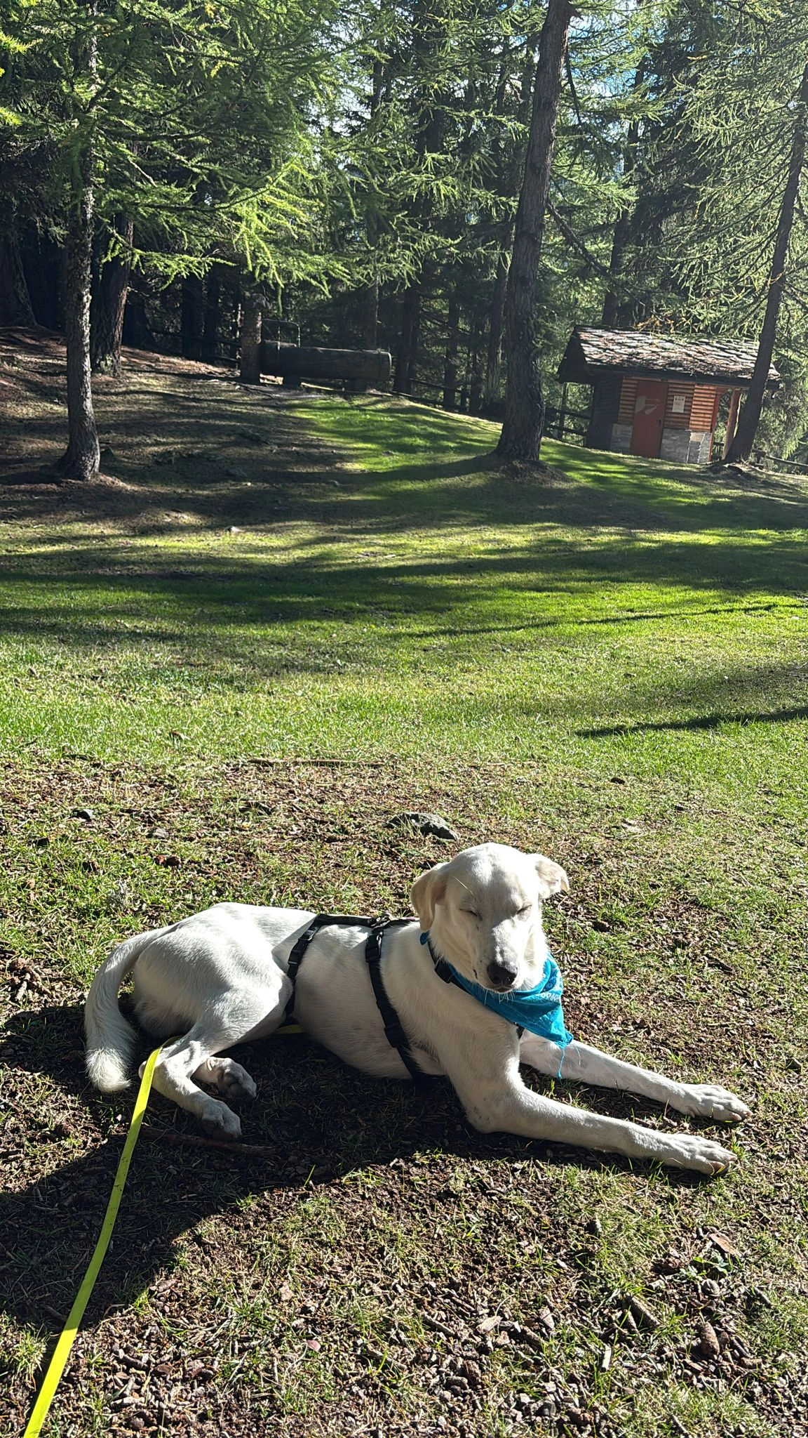 558172557 1220984160073179 7052961728145158570 n