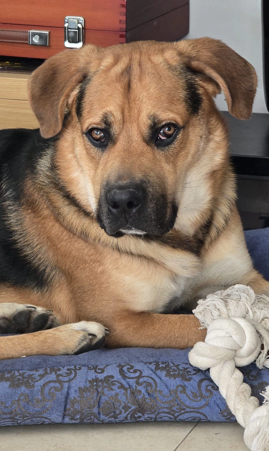 569697158 1243739201131008 1461072814684553590 n