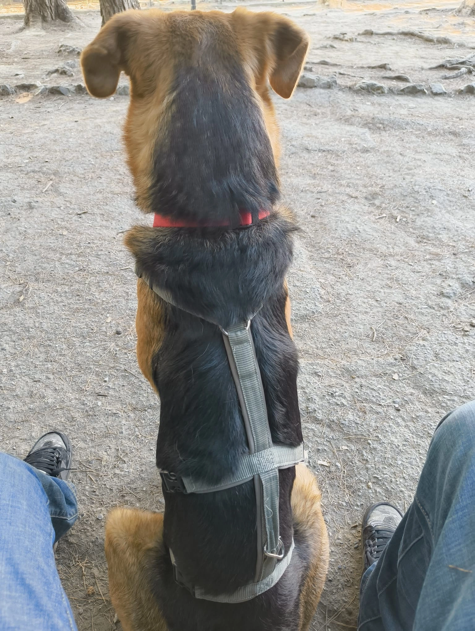 570252063 1243739974464264 229636306298245288 n