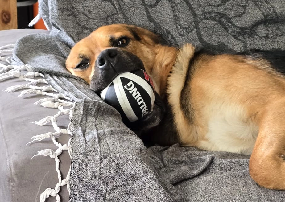 571179280 1243739664464295 4384652960201194332 n