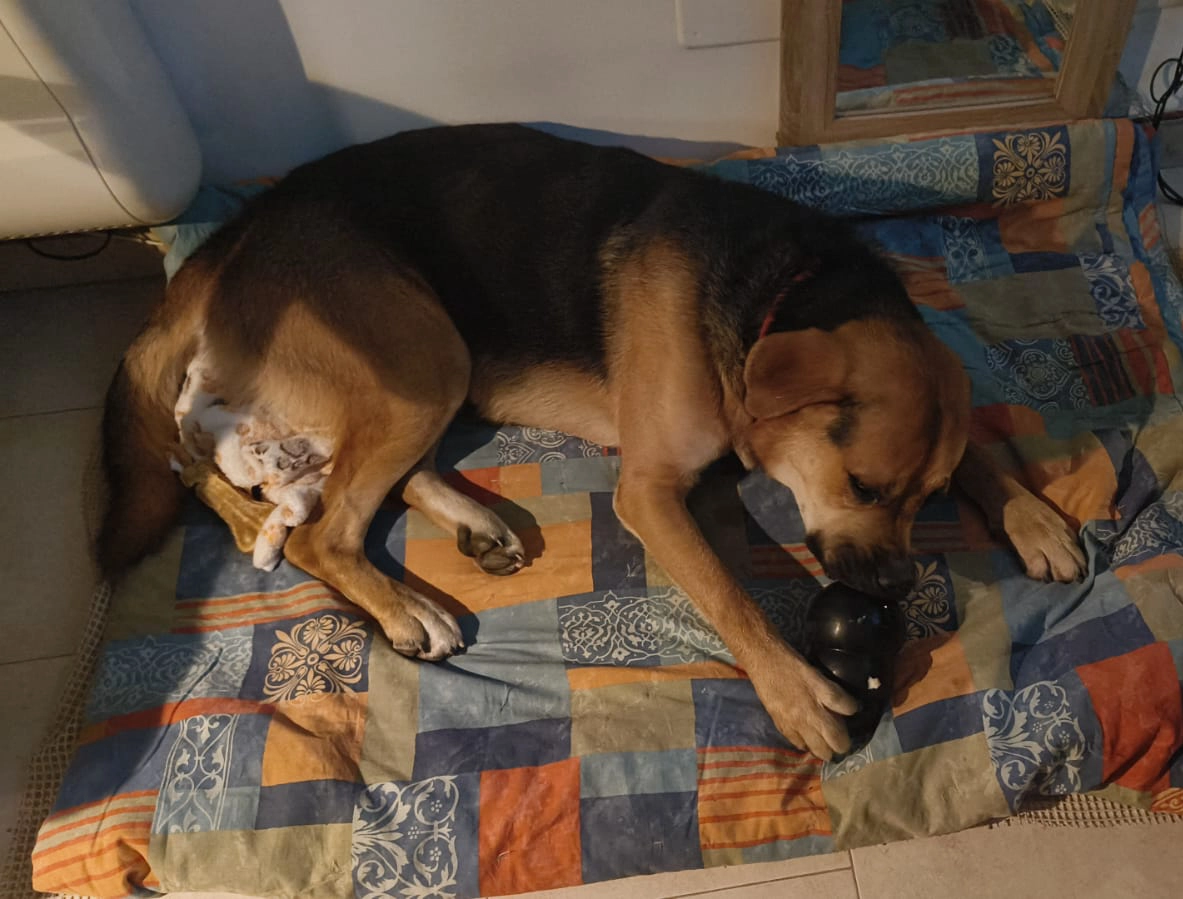 571280471 1243739281131000 3257496656938189656 n