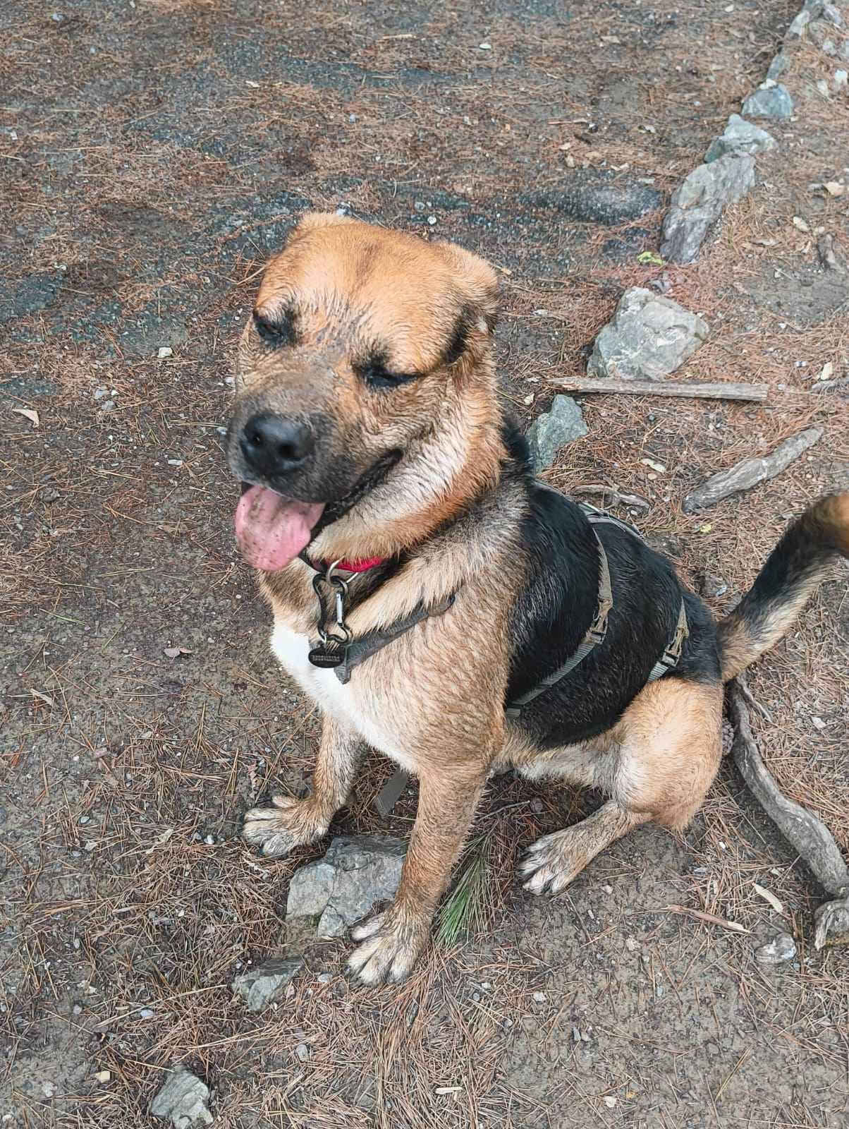 571311363 1243739881130940 4969317426493252151 n