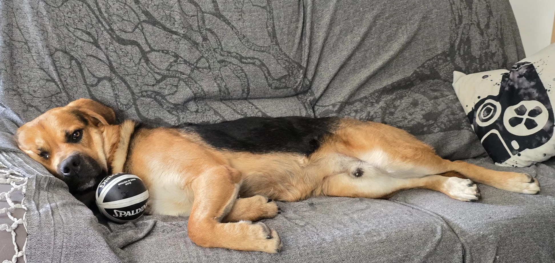 571473350 1243739641130964 1025786401556260858 n