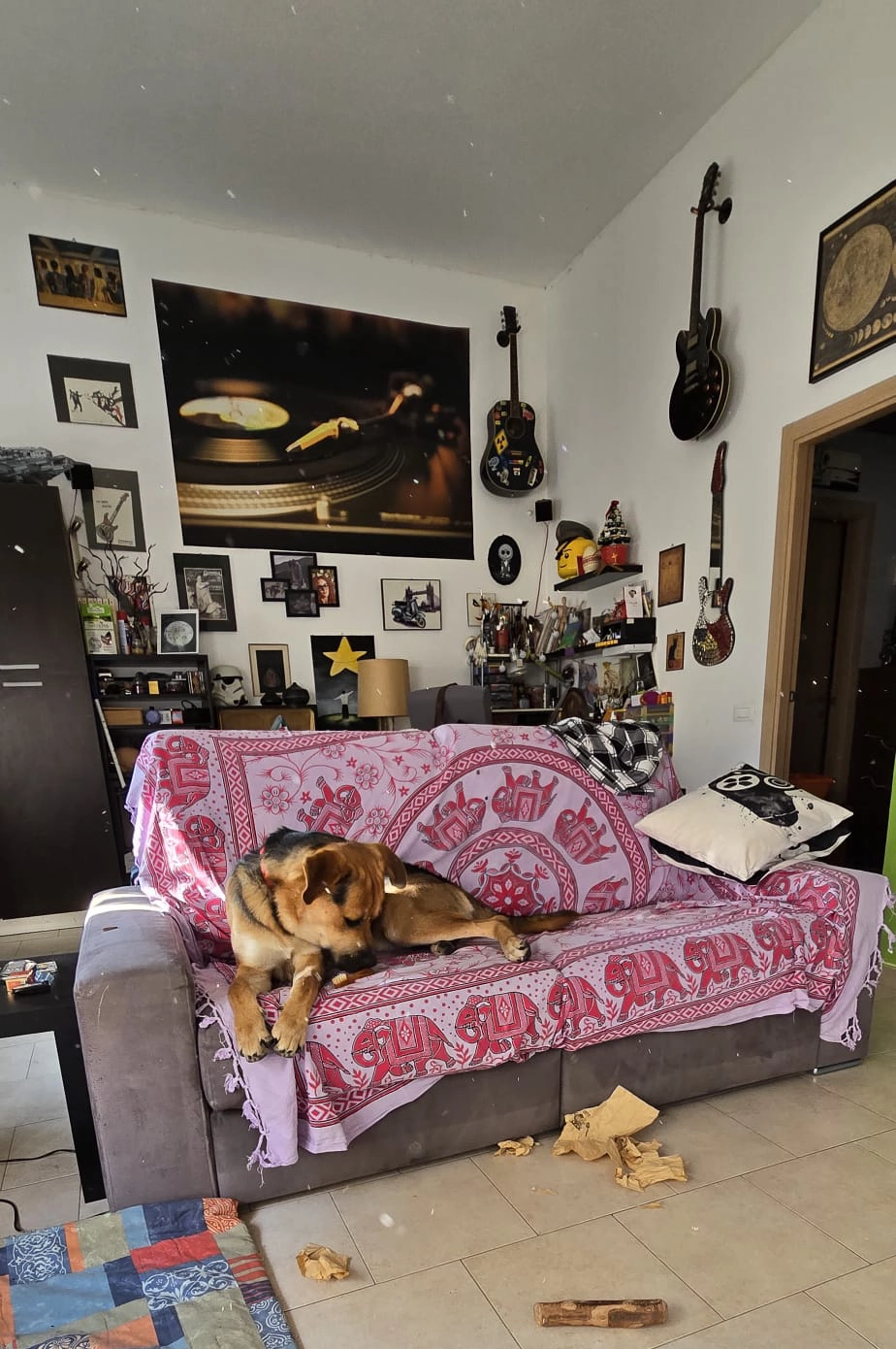 571776126 1243739371130991 3029858040596349126 n