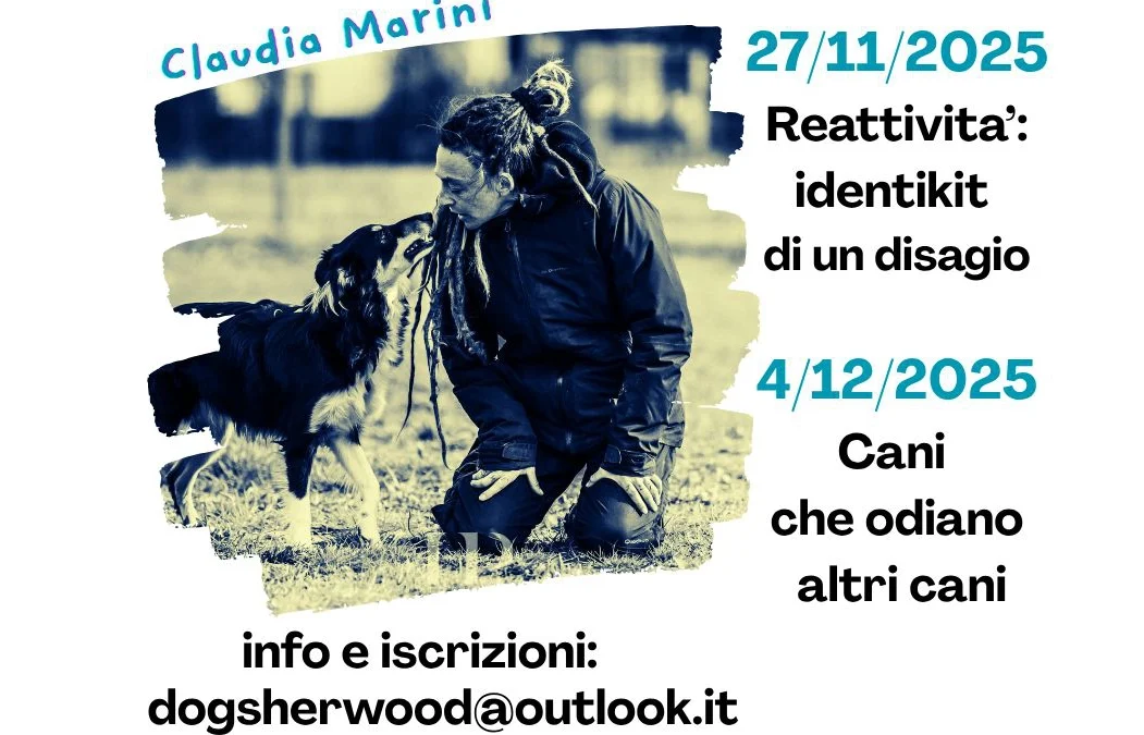 Due Webinar con Claudia!