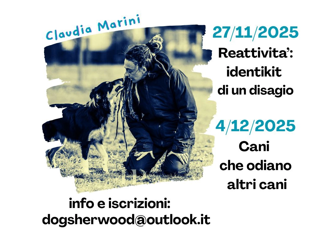 Webinar Claudia Marini