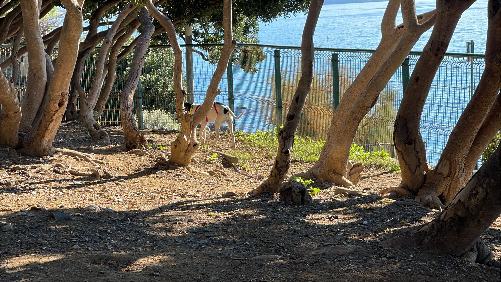 579908024 1261491796022415 4411229447468377435 n