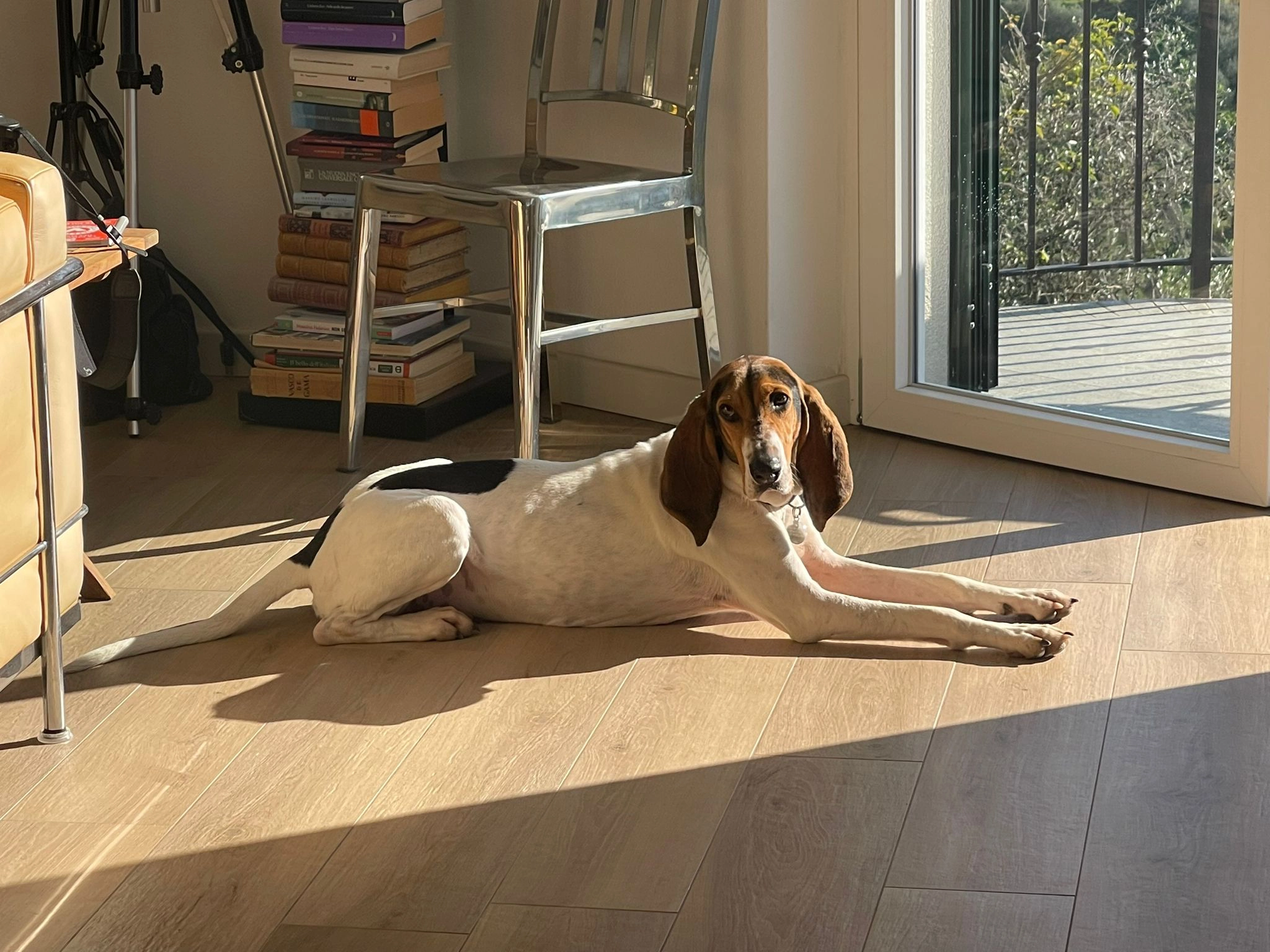 581052831 1261492102689051 2844353149430613041 n