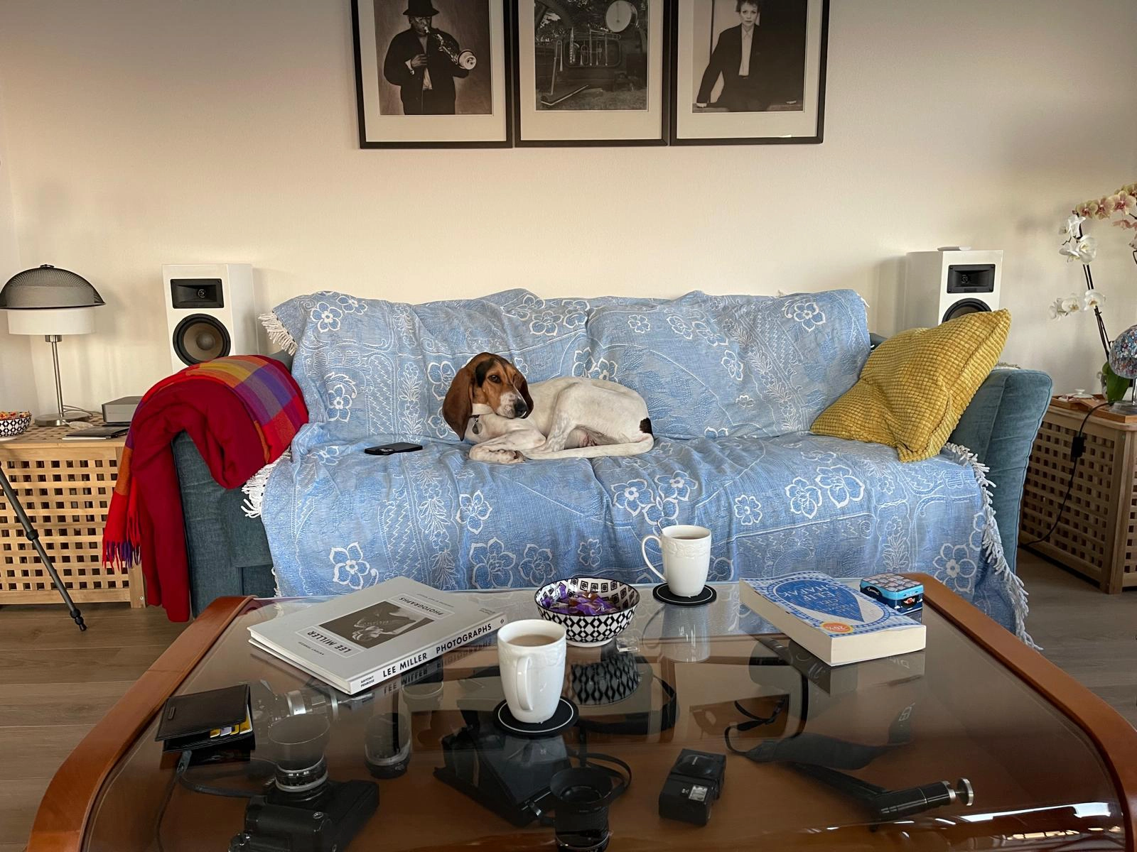 581650589 1261491522689109 4586755274952455331 n