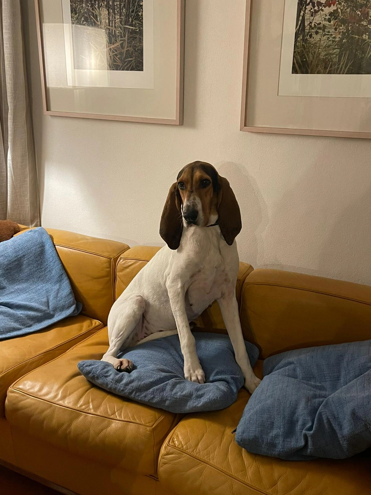 581855349 1261490476022547 7416994161443060436 n