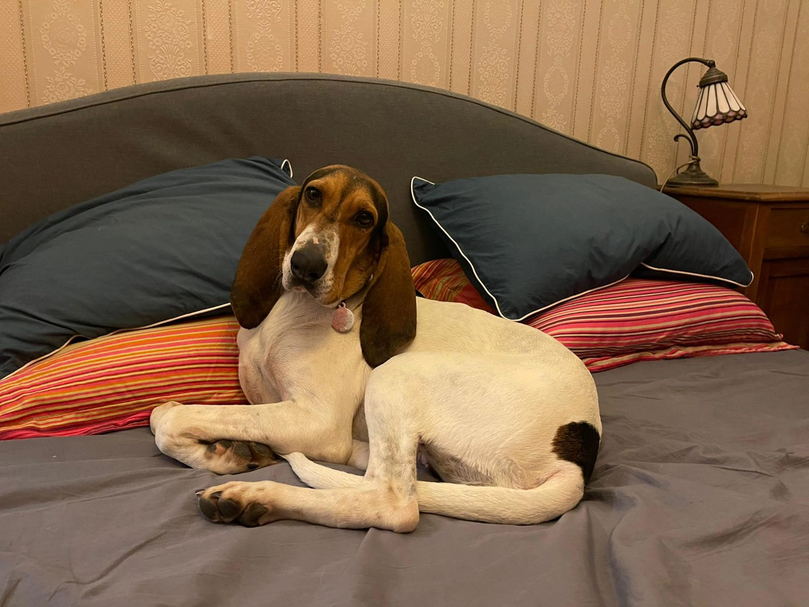 582613156 1261491356022459 7617146956441339841 n