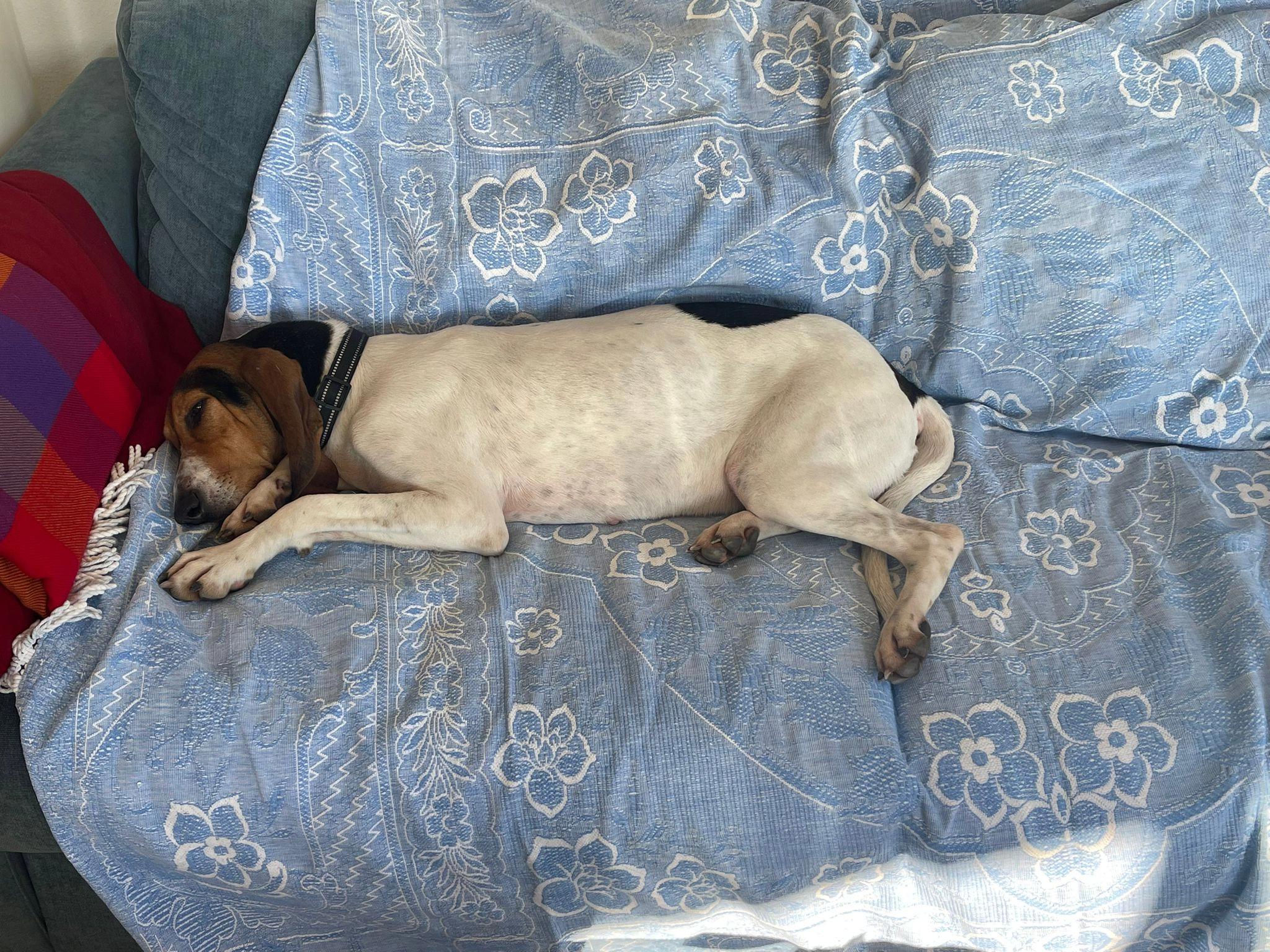 583236453 1261492272689034 5501650752672919763 n