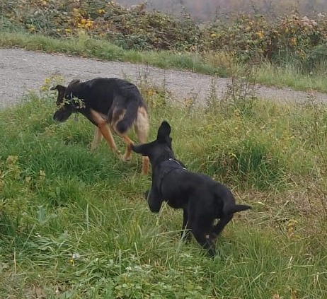 584183132 1263896929115235 7488893289786777686 n