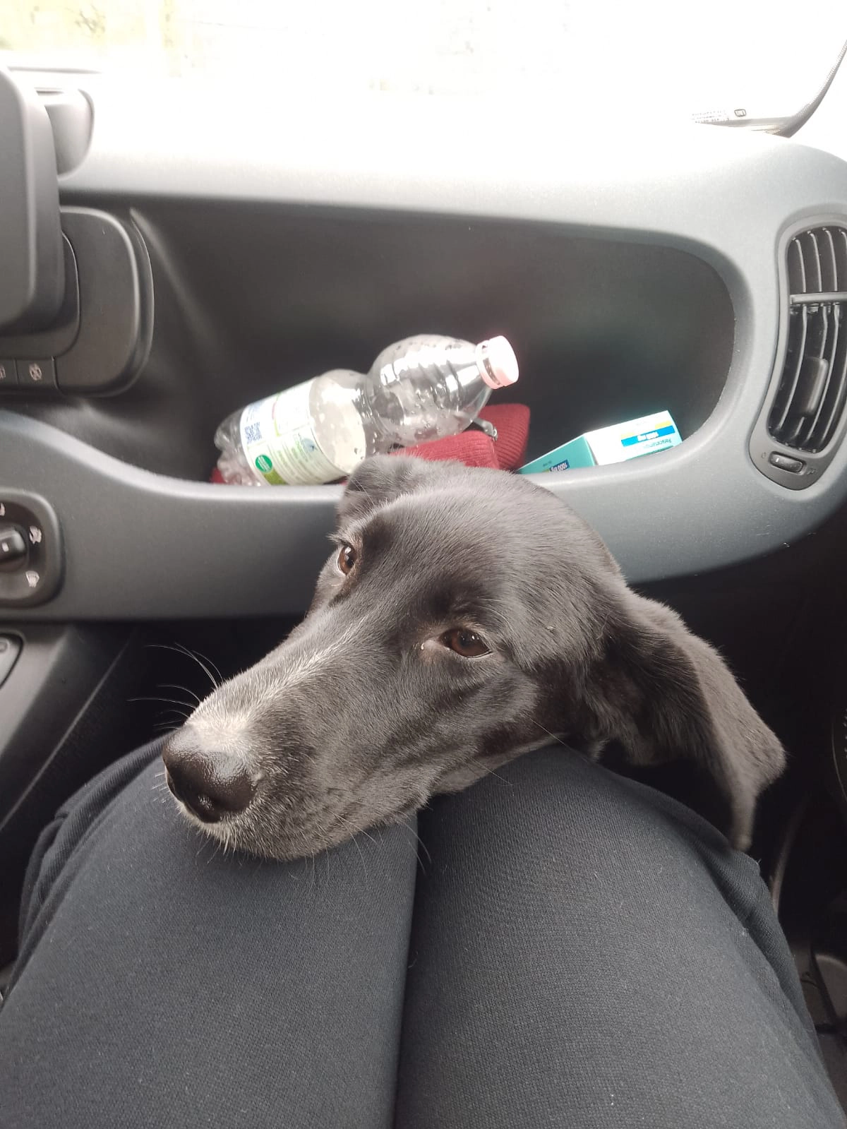 584314888 1263895242448737 245479179491953325 n