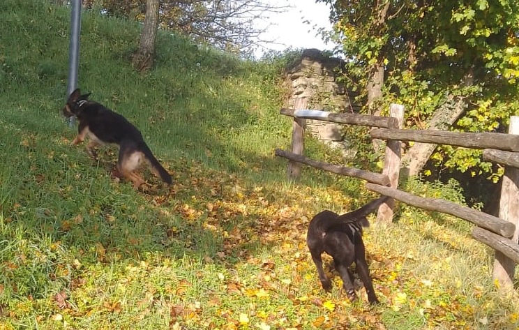 584351474 1263897355781859 6208415627448138682 n