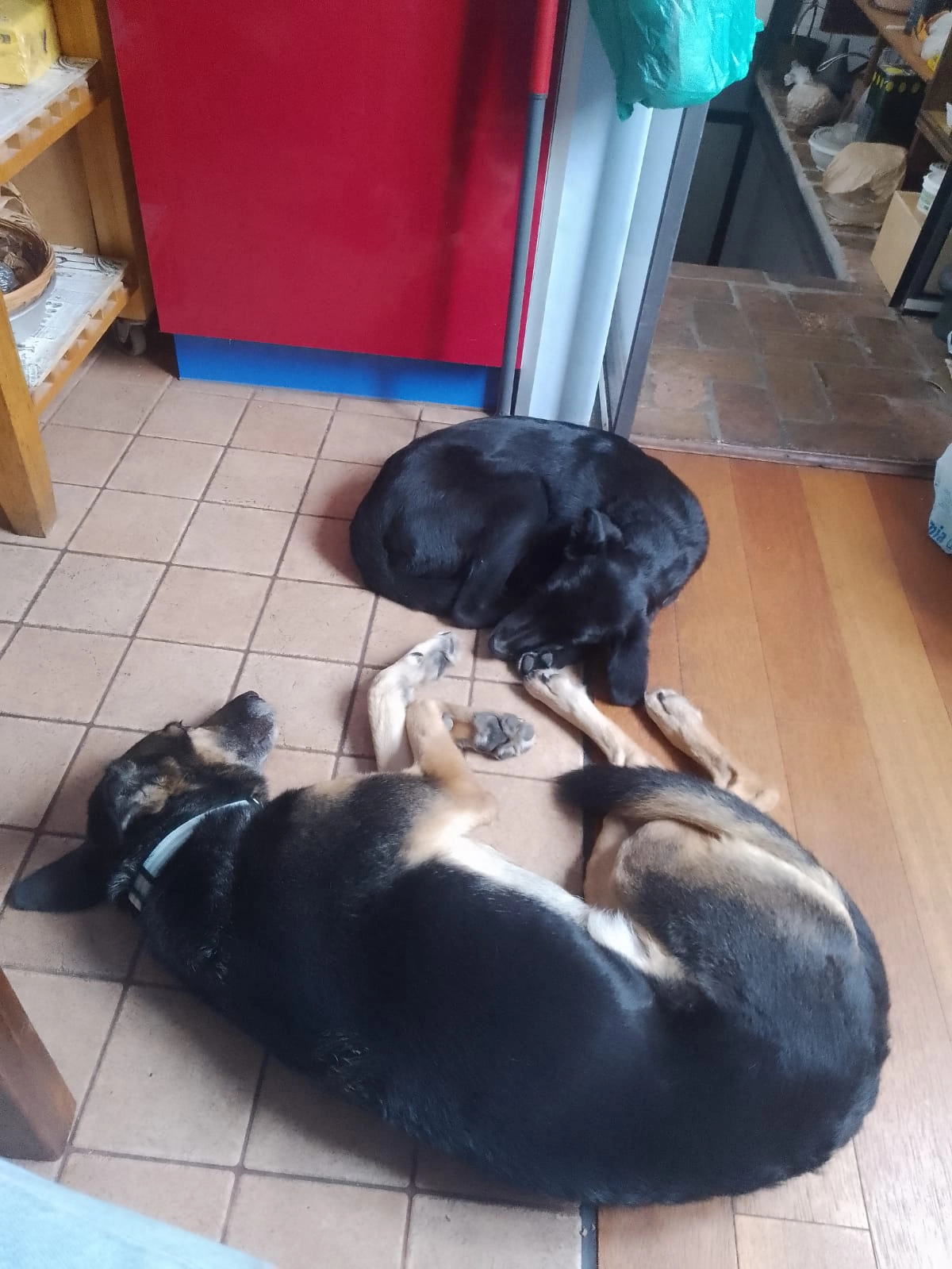 584440280 1263896122448649 257086931896758176 n