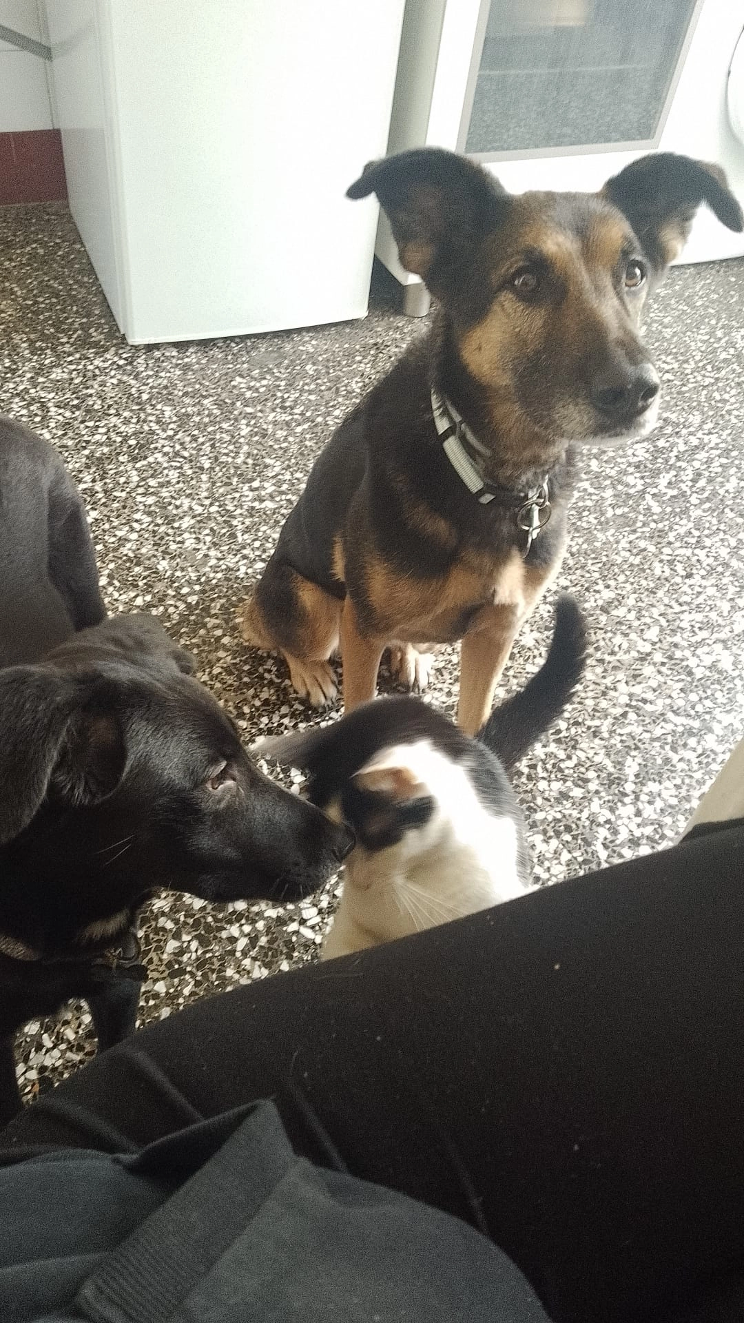 584722987 1263895842448677 3767038757062298414 n