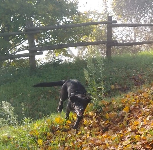 585410858 1263897602448501 4153611223636728224 n