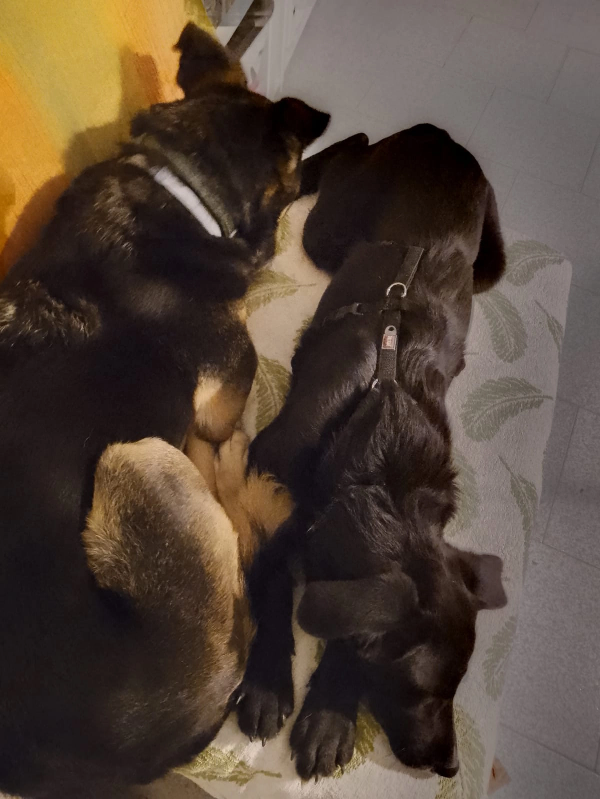 585514208 1263894952448766 7893190095113837646 n