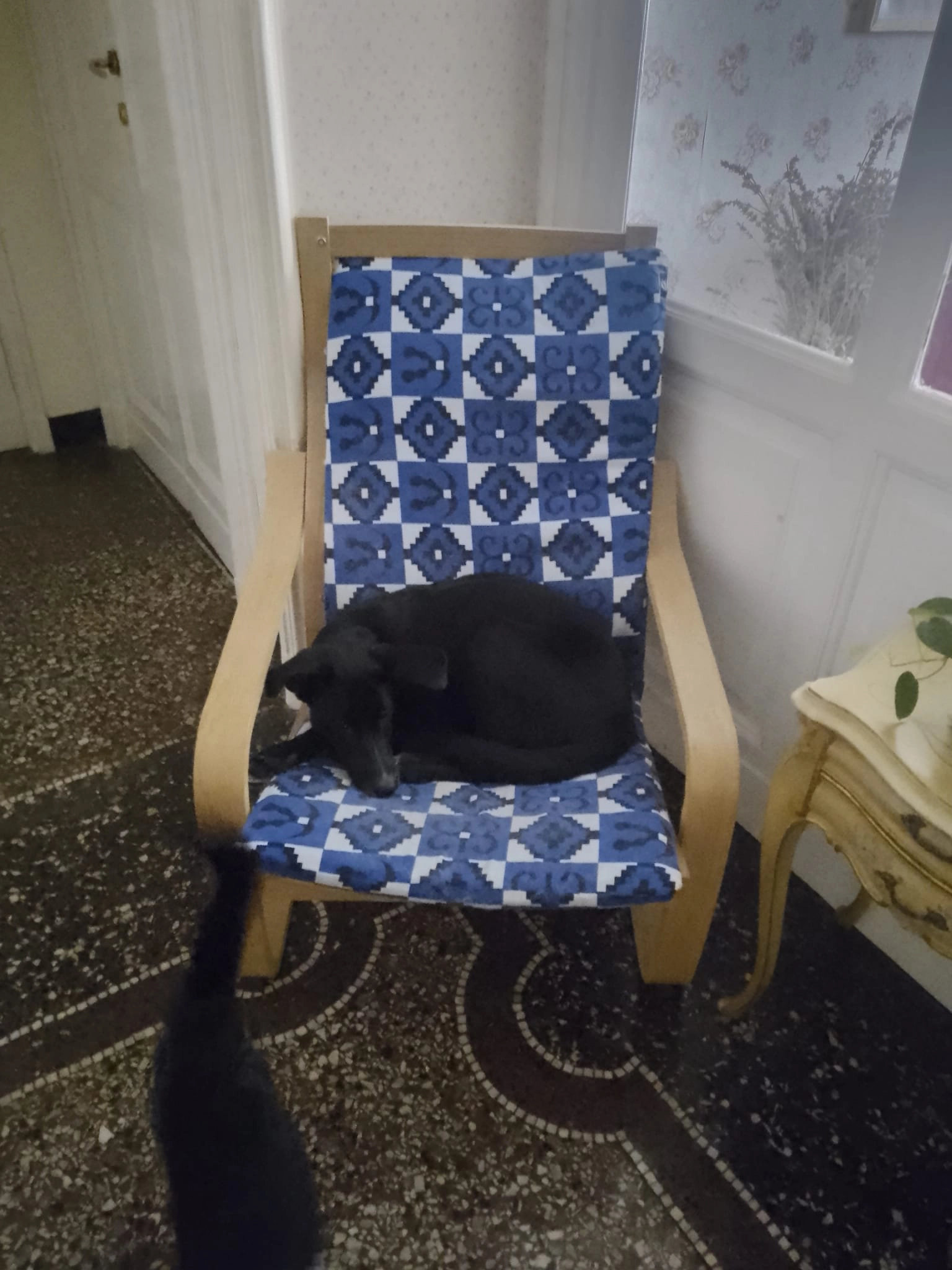 585521289 1263895955781999 8852946064882674298 n