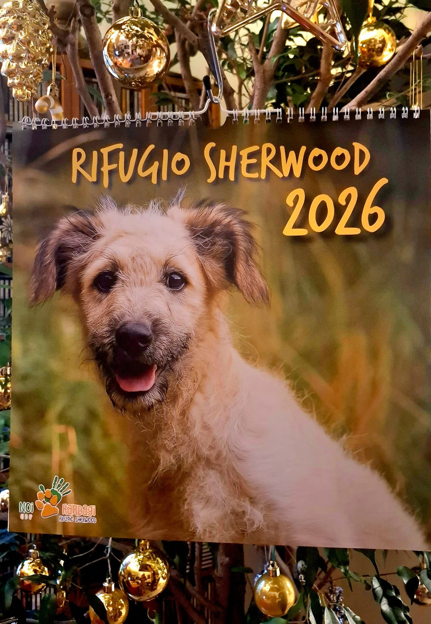 Calendario murale 2026