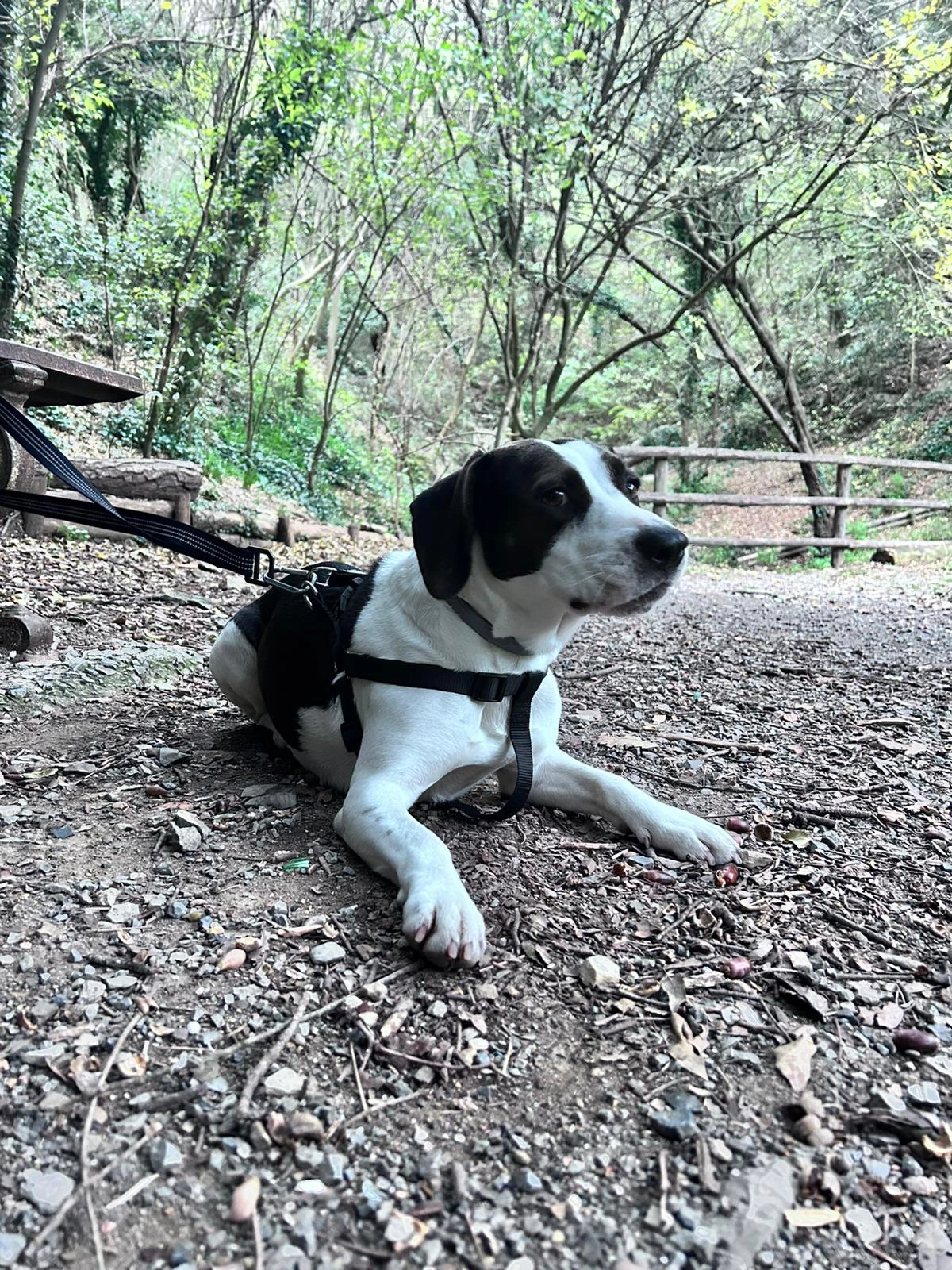 591746948 1277335537771374 8889441896970327084 n