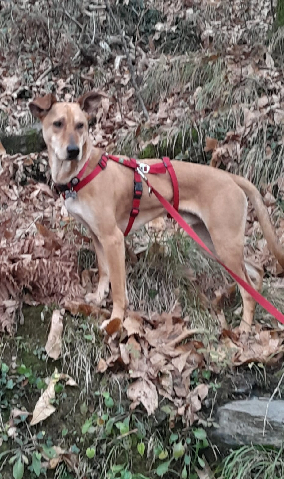 591841560 1287210783450516 4000166380234278695 n