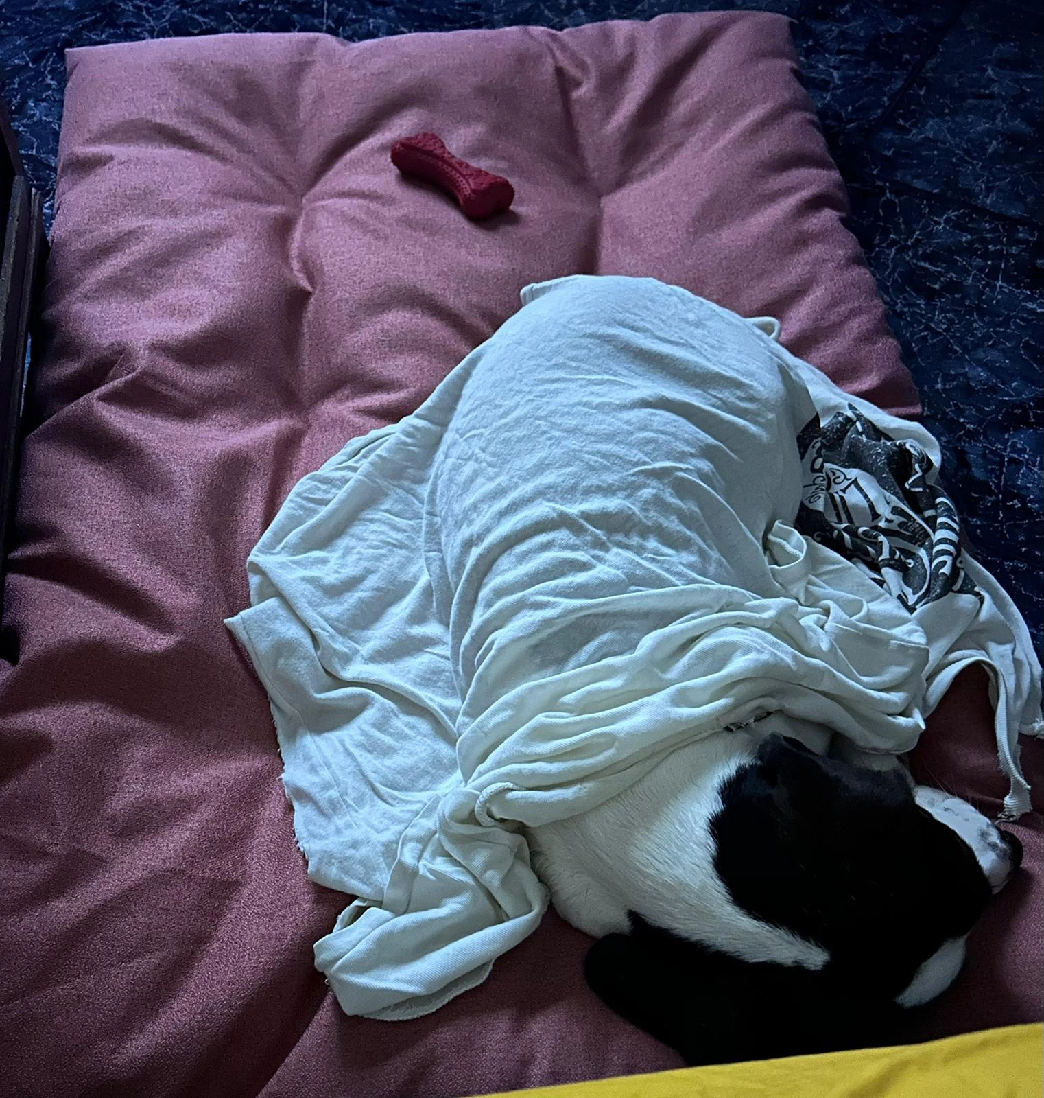 591842444 1277334871104774 5850992360441618888 n