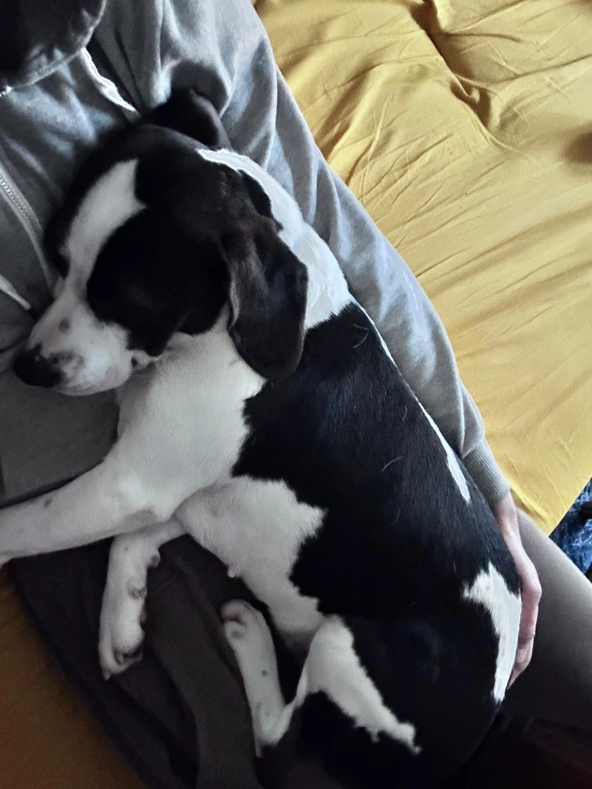 594346069 1277335224438072 1176429013869204308 n