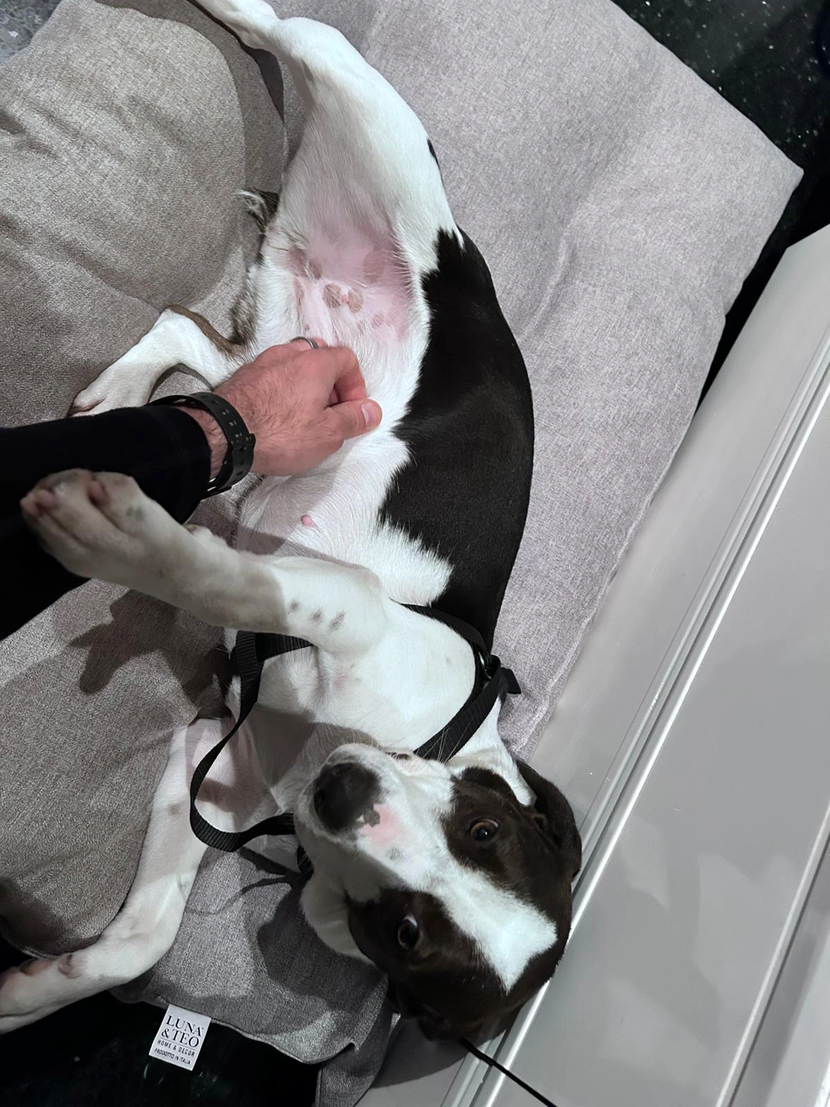 594640755 1277335614438033 2636467048077303943 n