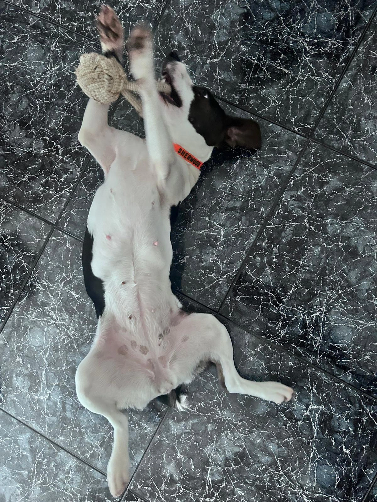 594729485 1277334681104793 107390383609314095 n