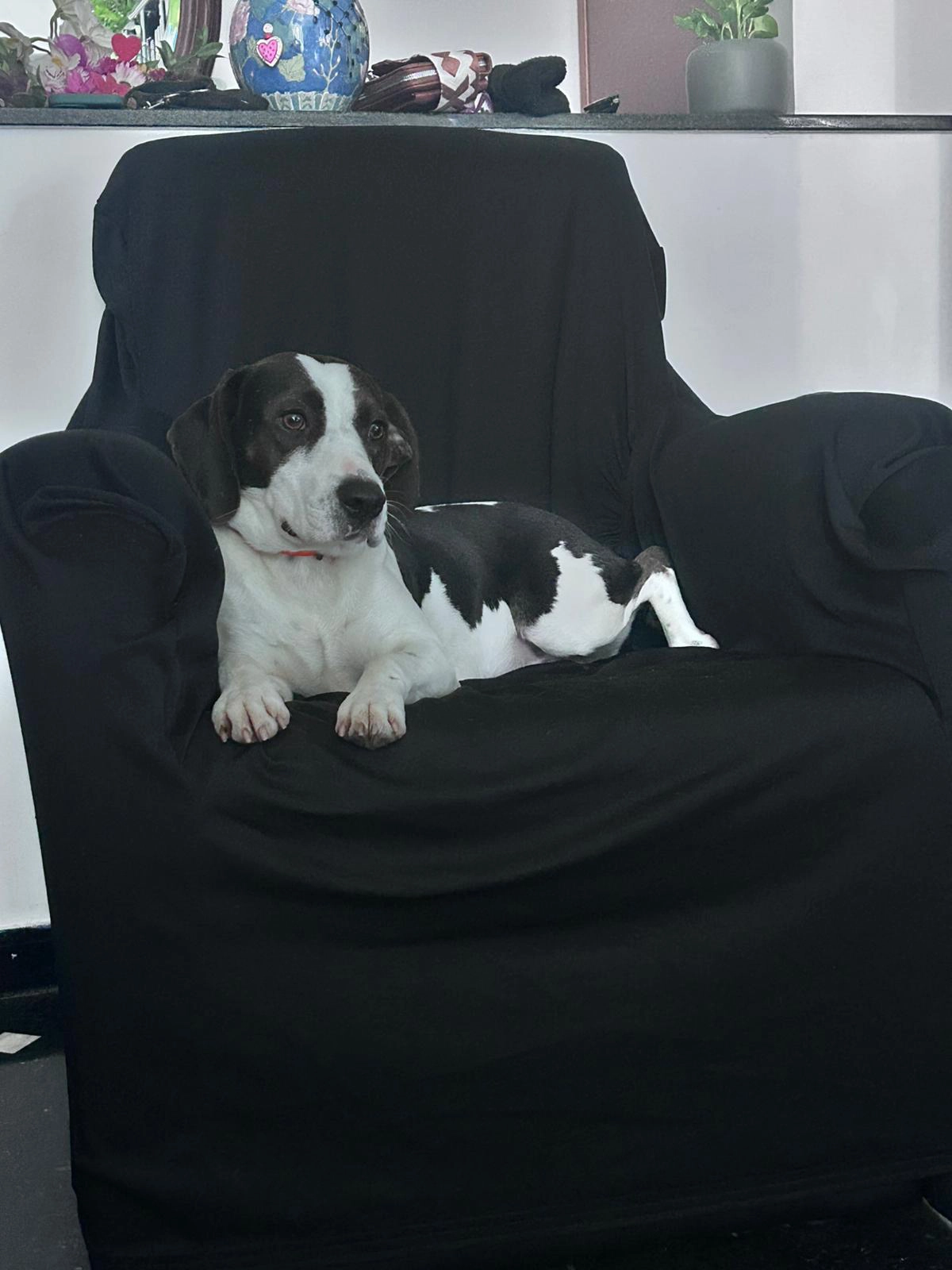 594763696 1277334261104835 7069426838282971595 n