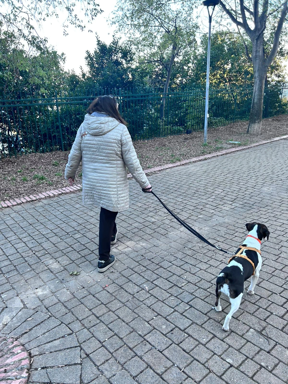 594954717 1277334604438134 8117102043214784193 n