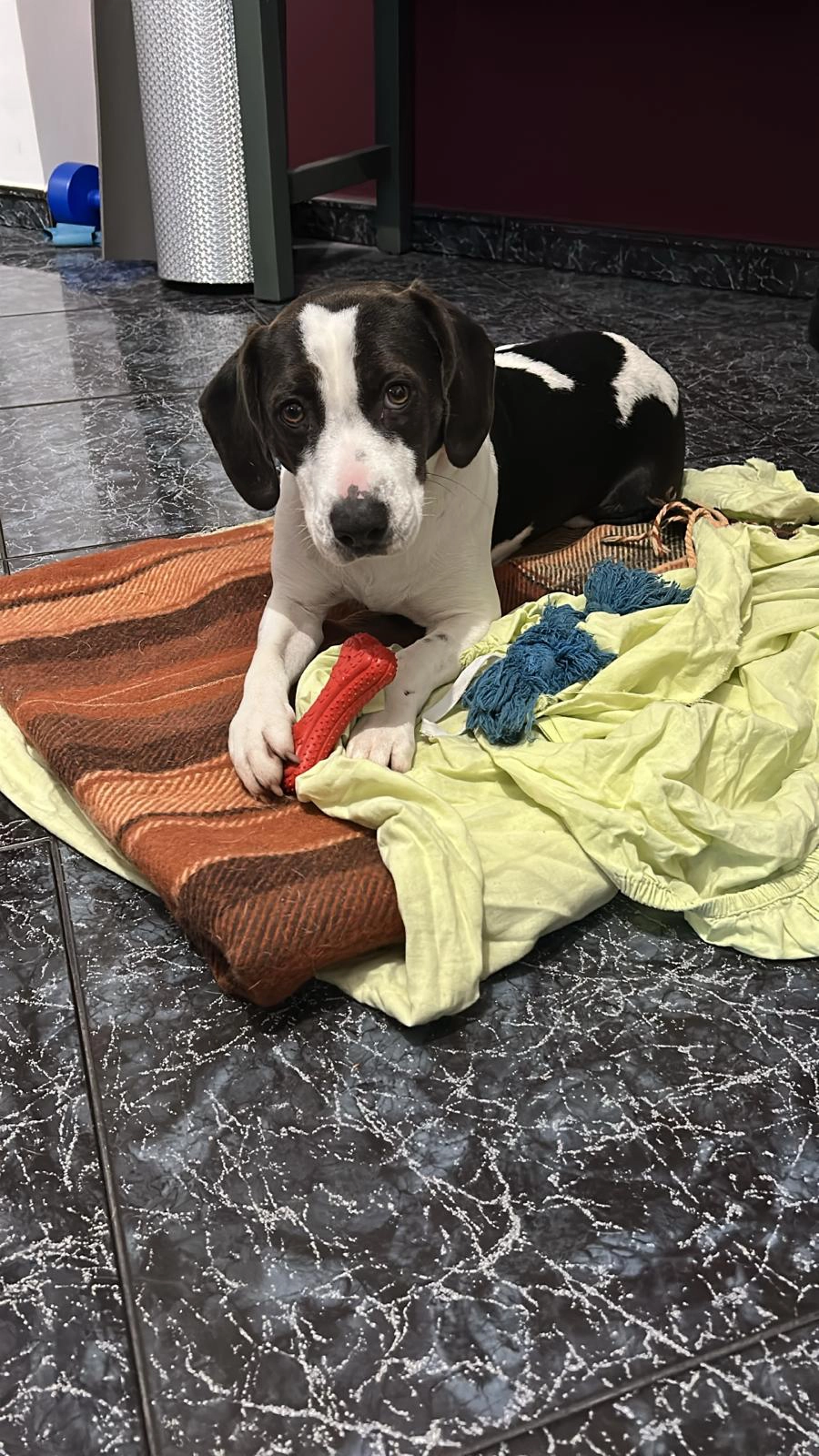 595508599 1277334754438119 2574044333207427519 n