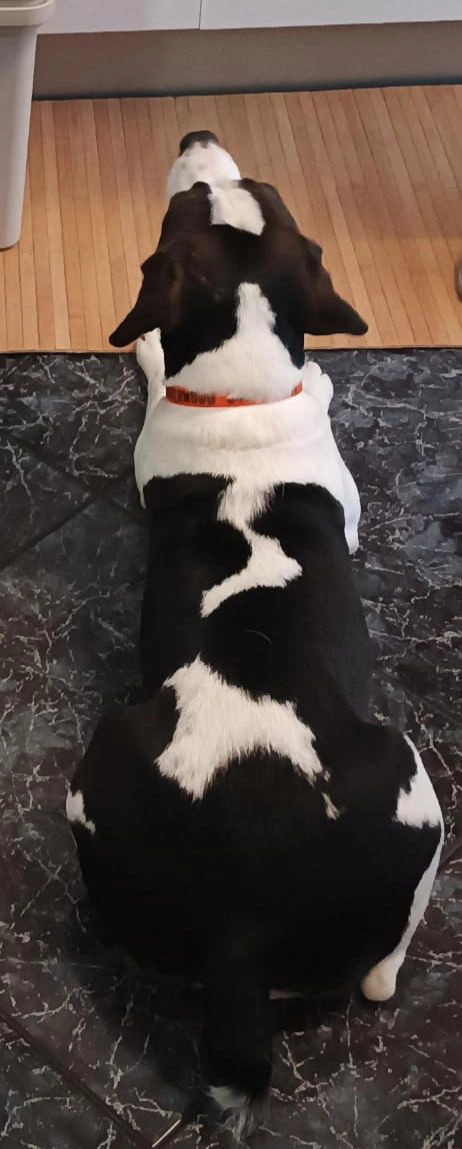 596178960 1277334991104762 5887763470351660246 n