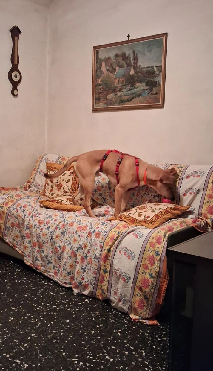 597399303 1287210863450508 2066528262418868873 n