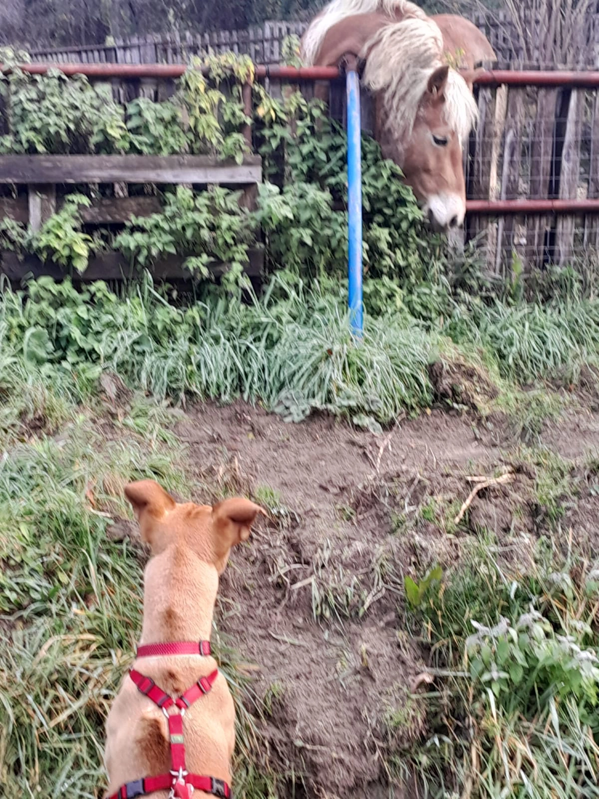 598026320 1287249856779942 6801166476794828598 n